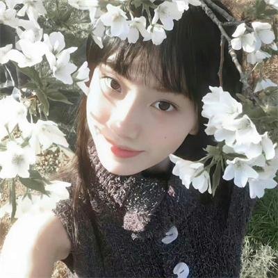 傻儿师长